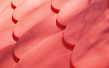 Little Boys Heath plastic roof costs